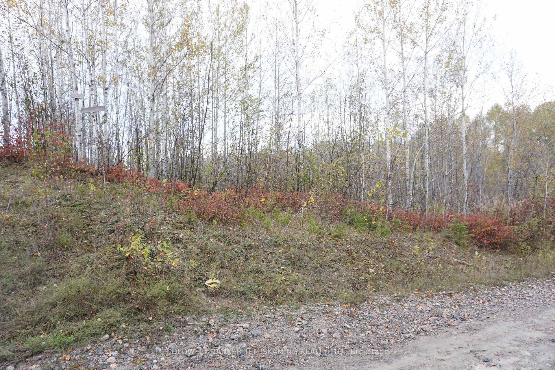 Photo 11 of Lot 1A Campbells Road, Englehart, Central Timiskaming — HOMEH