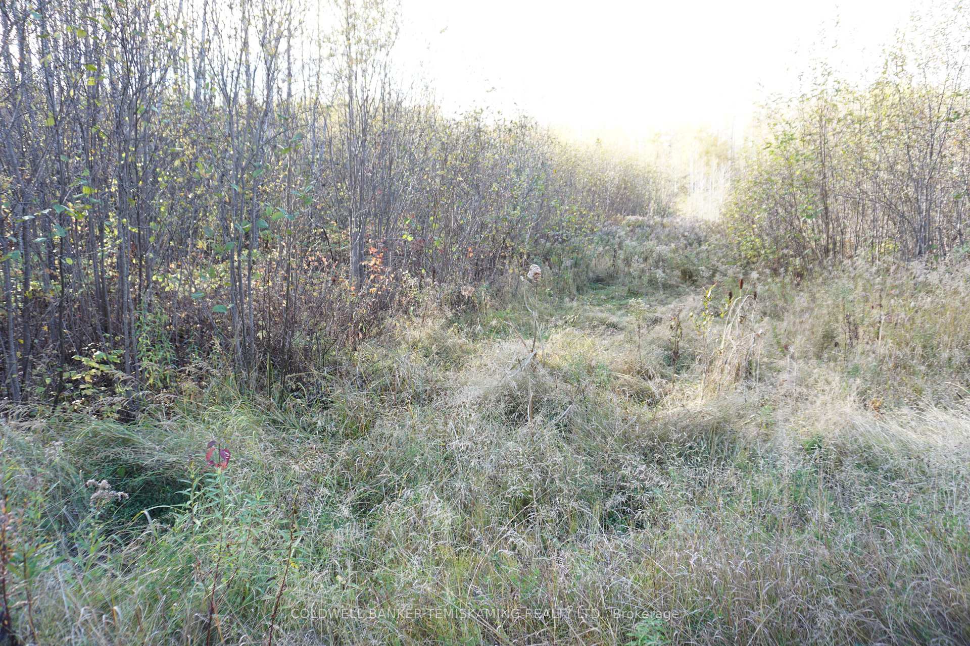 Photo 12 of Lot 1A Campbells Road, Englehart, Central Timiskaming — HOMEH