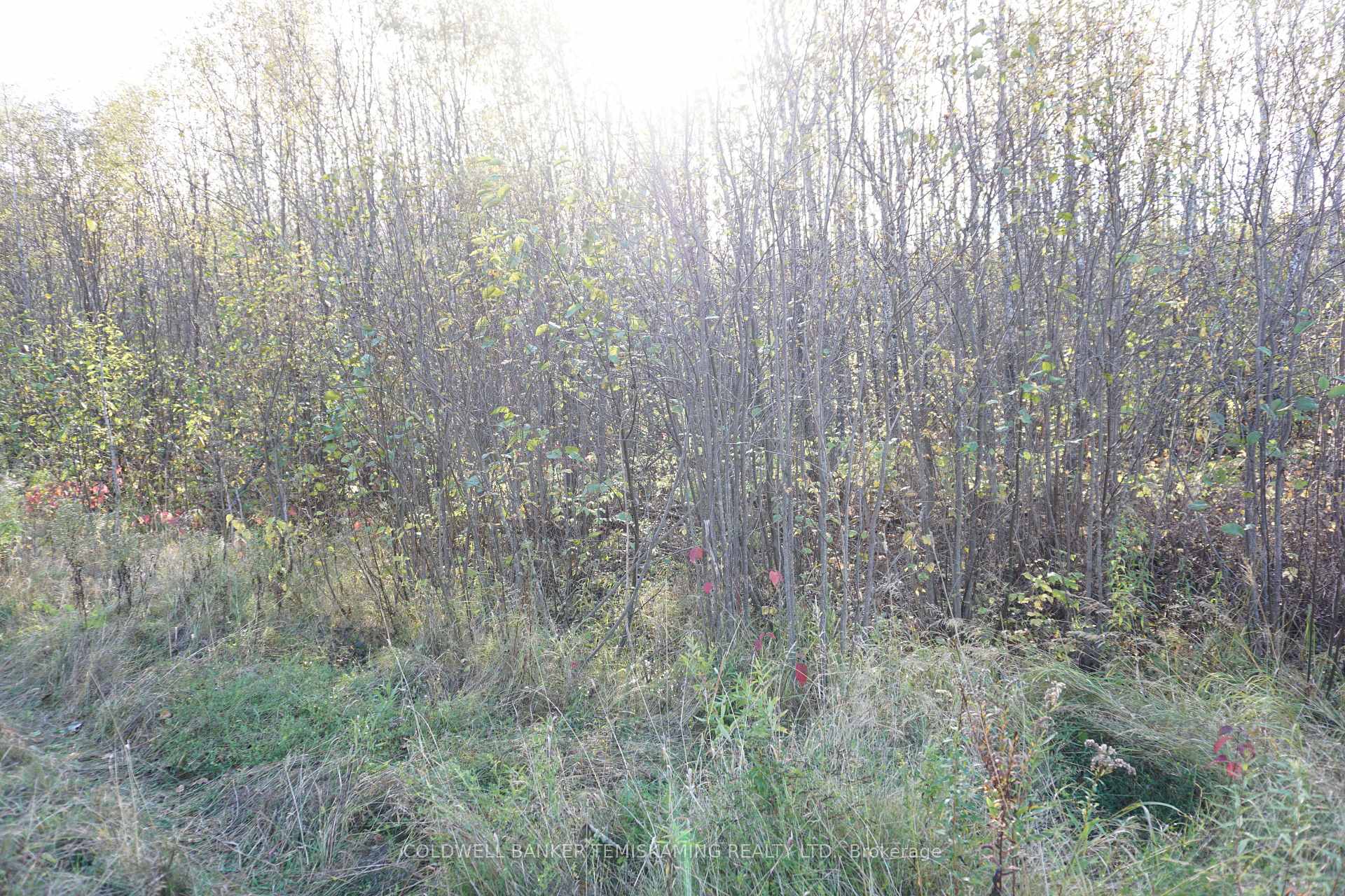 Photo 13 of Lot 1A Campbells Road, Englehart, Central Timiskaming — HOMEH