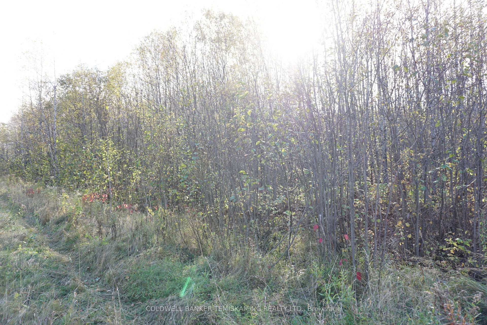 Photo 14 of Lot 1A Campbells Road, Englehart, Central Timiskaming — HOMEH