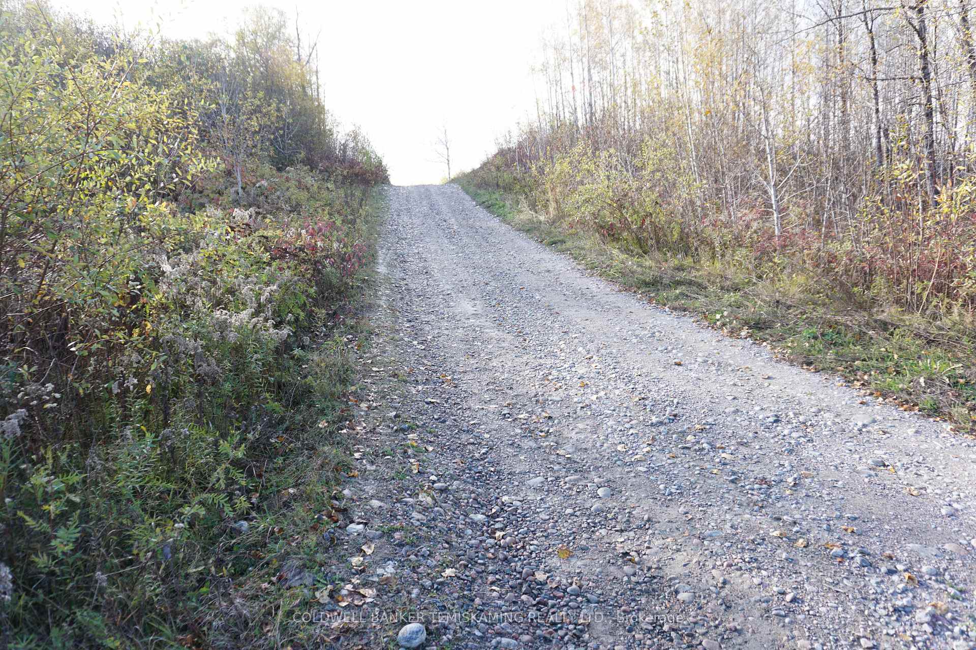 Photo 16 of Lot 1A Campbells Road, Englehart, Central Timiskaming — HOMEH