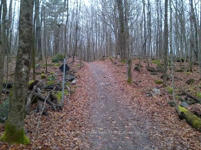 Photo 15 of Patterson Road, Douro-Dummer — HOMEH