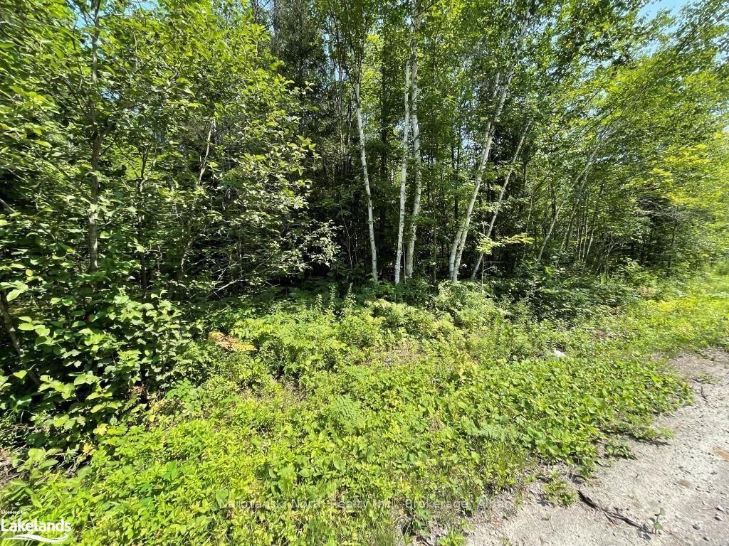 Photo 1 of PART 2 North Channel Camp Road, French River — HOMEH