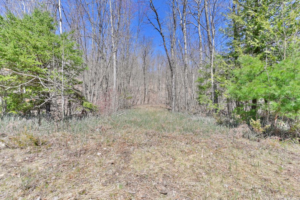 Photo 13 of Baker Valley & Bebris Road, Central Frontenac, Frontenac Centre — HOMEH