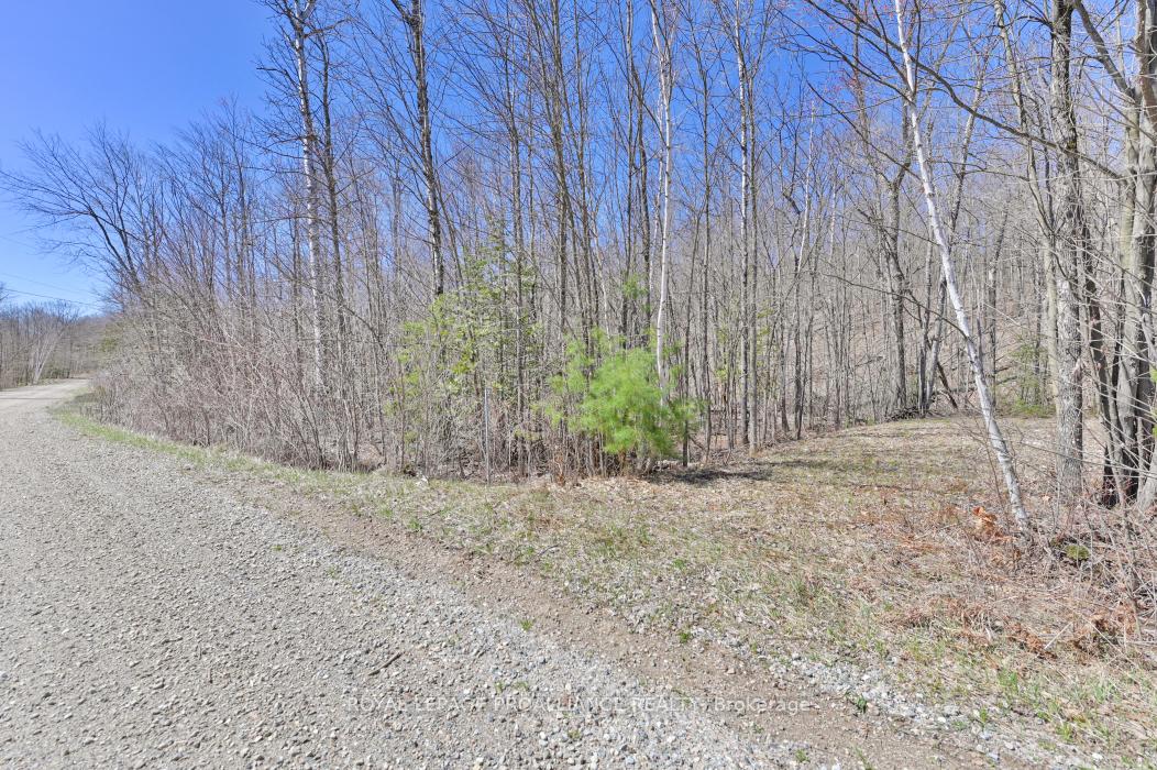 Photo 14 of Baker Valley & Bebris Road, Central Frontenac, Frontenac Centre — HOMEH