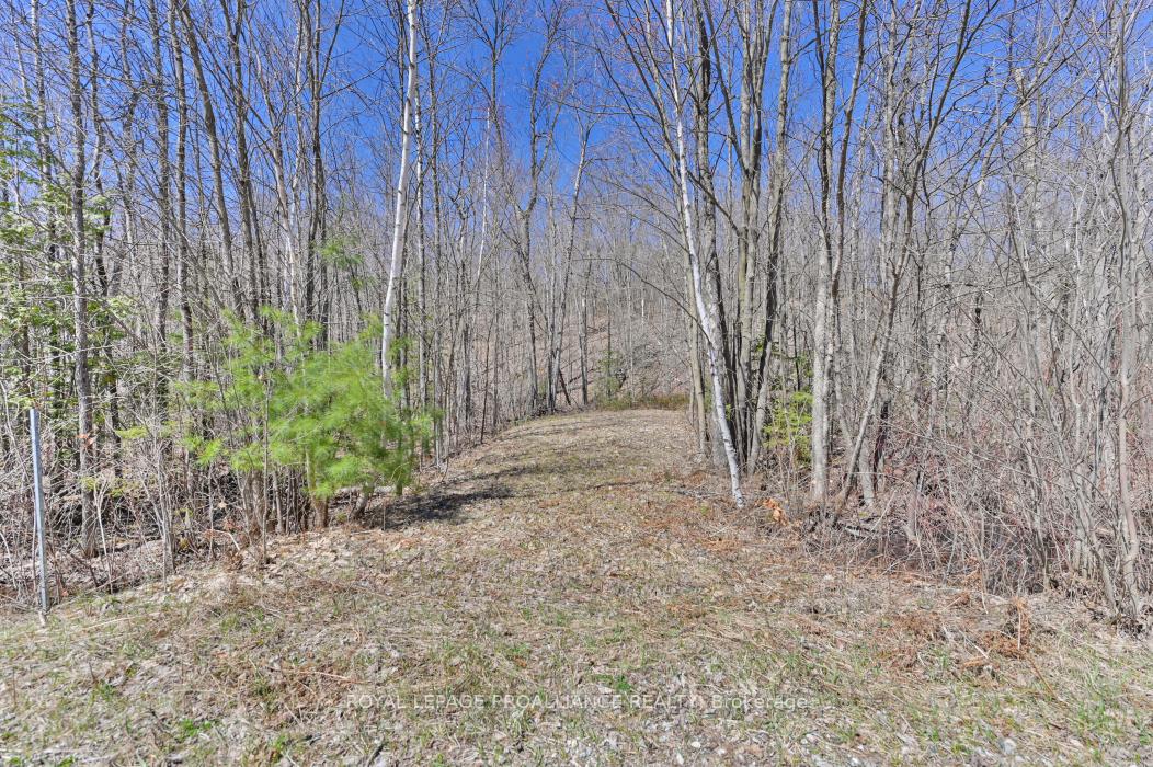 Photo 15 of Baker Valley & Bebris Road, Central Frontenac, Frontenac Centre — HOMEH