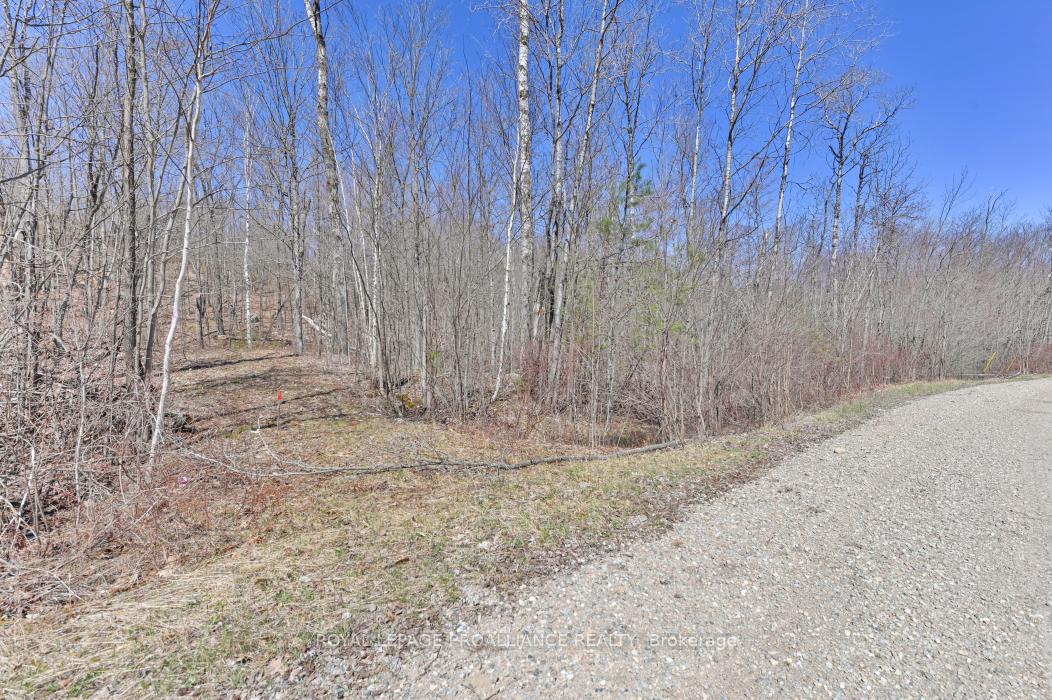 Photo 16 of Baker Valley & Bebris Road, Central Frontenac, Frontenac Centre — HOMEH