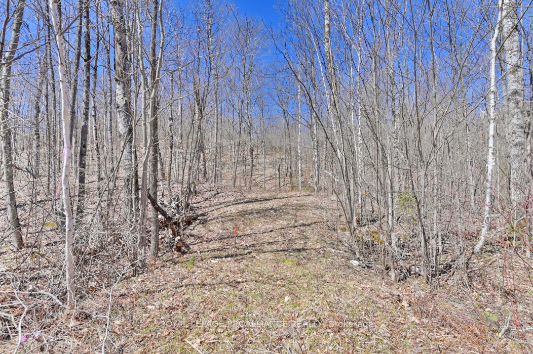 Photo 17 of Baker Valley & Bebris Road, Central Frontenac, Frontenac Centre — HOMEH
