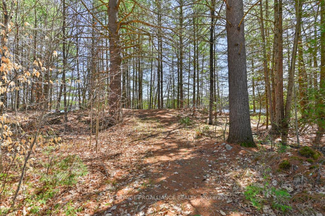 Photo 25 of Baker Valley & Bebris Road, Central Frontenac, Frontenac Centre — HOMEH