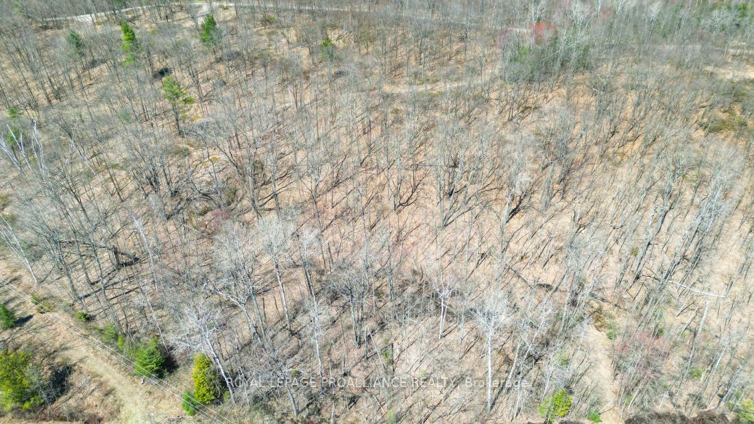 Photo 40 of Baker Valley & Bebris Road, Central Frontenac, Frontenac Centre — HOMEH