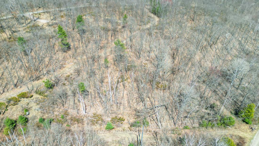 Photo 42 of Baker Valley & Bebris Road, Central Frontenac, Frontenac Centre — HOMEH
