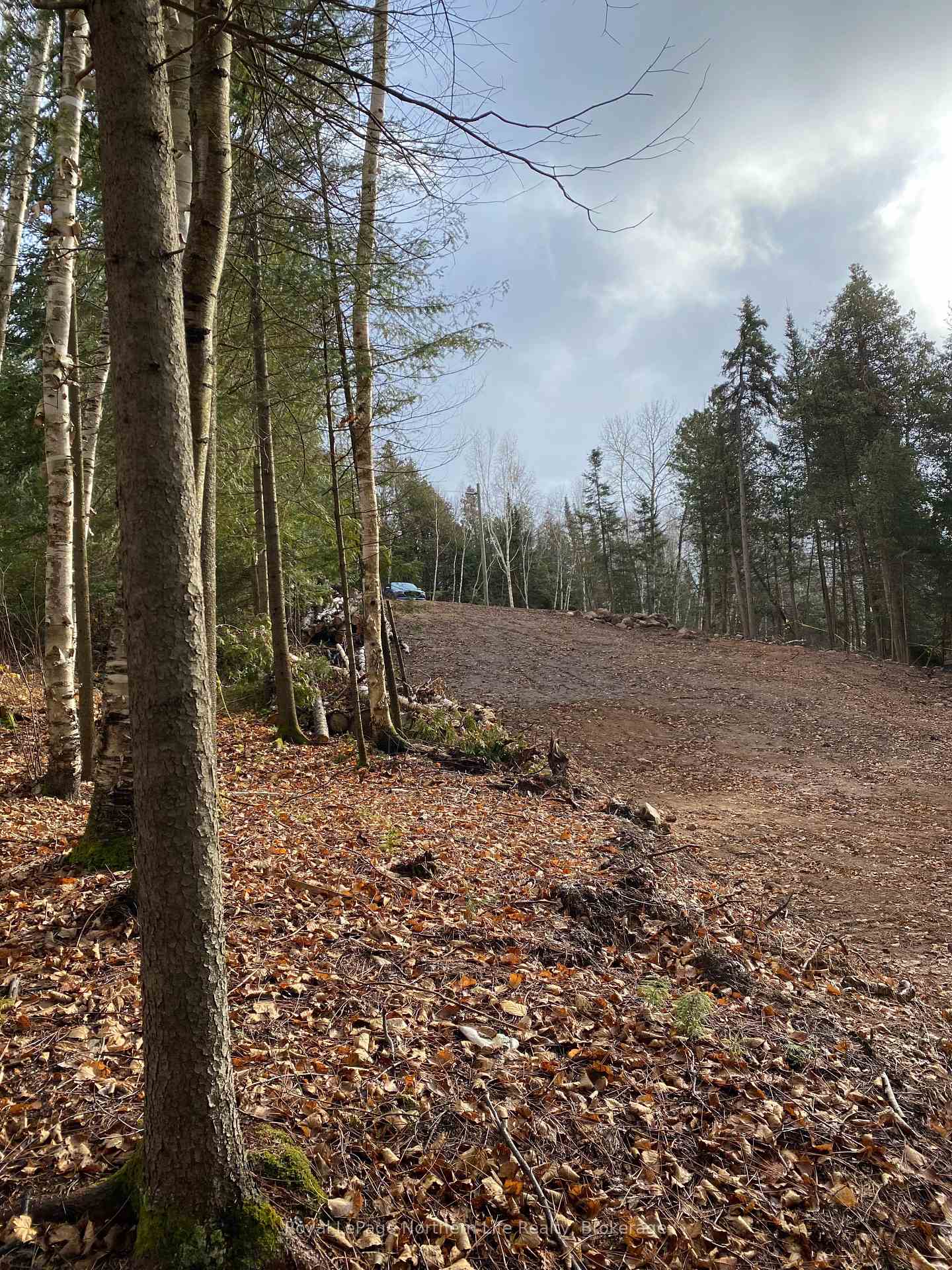 Photo 7 of 219 North Star Drive E, Bonfield — HOMEH