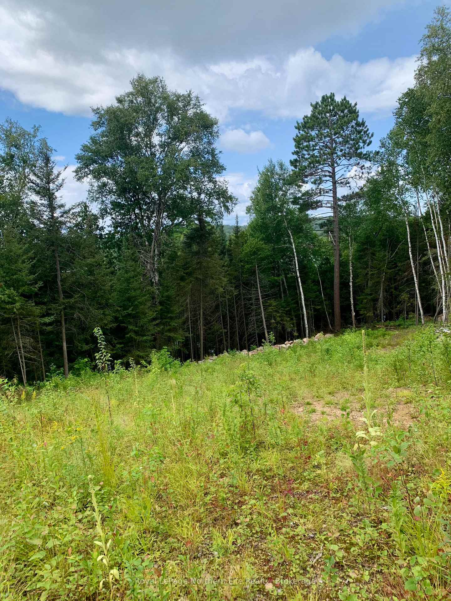 Photo 9 of 219 North Star Drive E, Bonfield — HOMEH