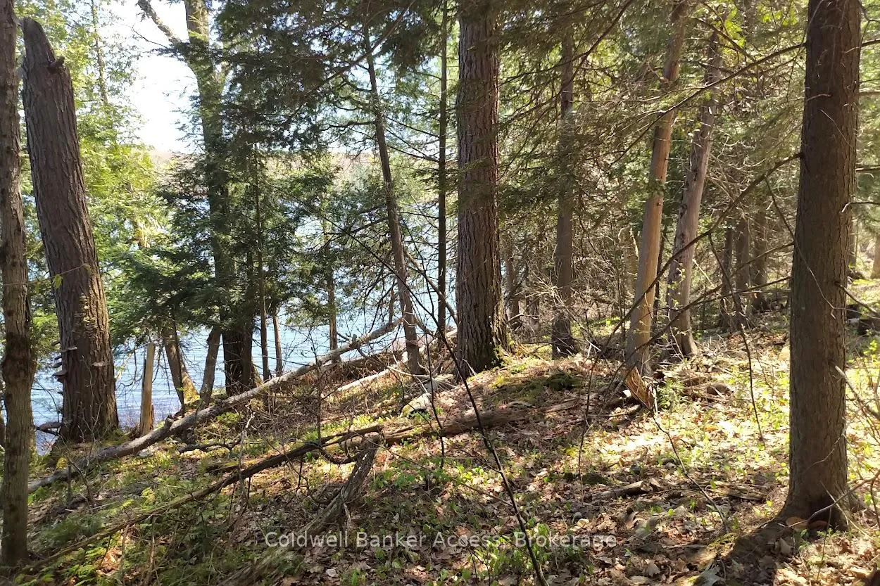 Photo 21 of 153 Highway 124, McDougall — HOMEH