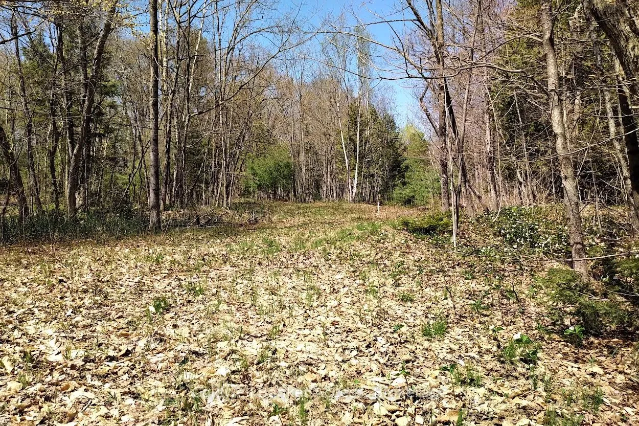 Photo 23 of 153 Highway 124, McDougall — HOMEH