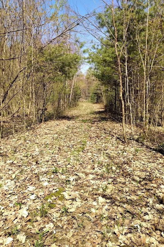 Photo 27 of 153 Highway 124, McDougall — HOMEH