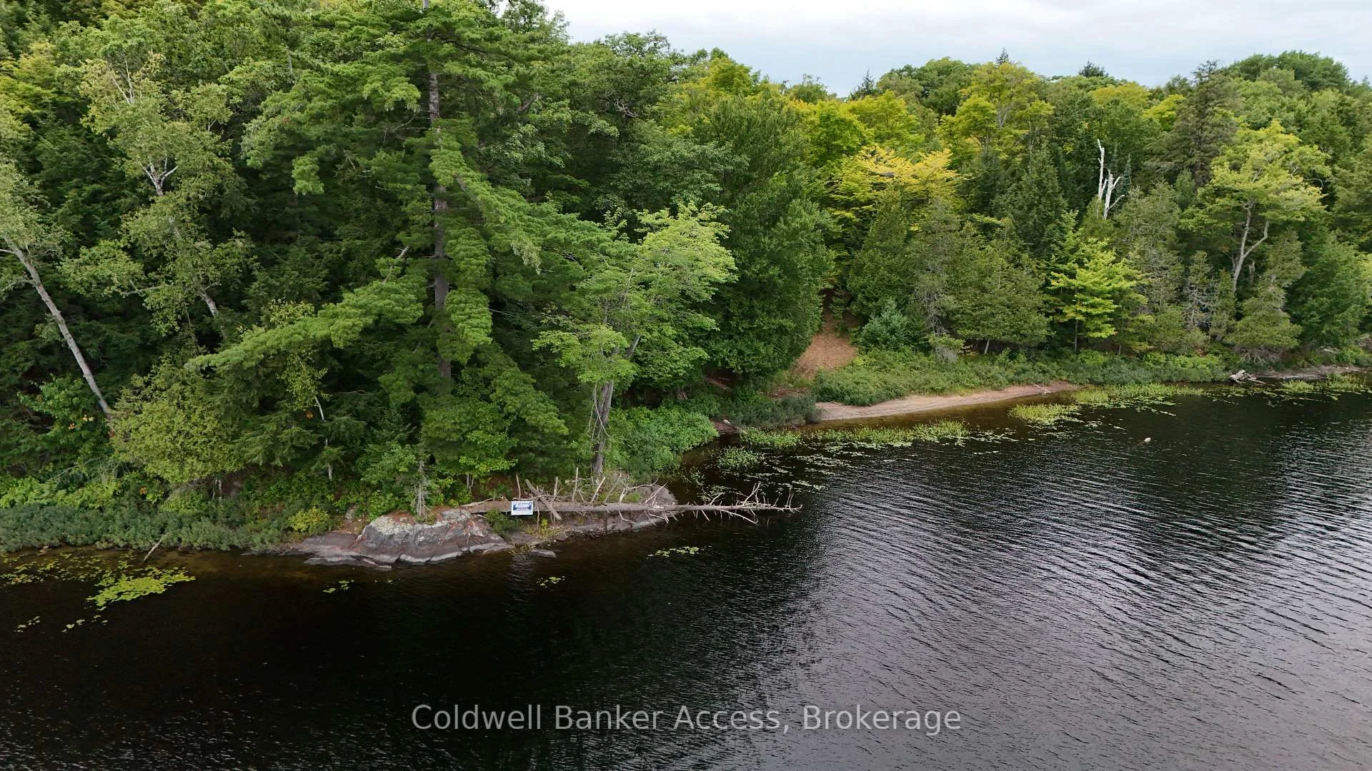 Photo of 153 Highway 124
