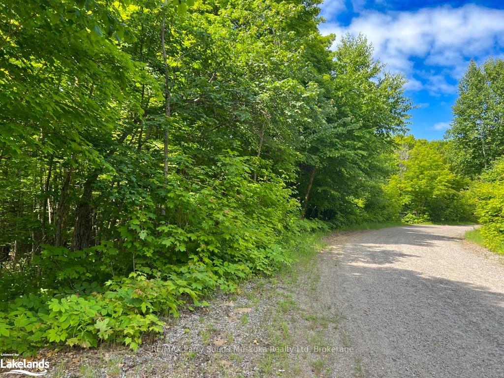 Photo 3 of LOT 7 Kribs Road, Magnetawan, Ahmic Harbour — HOMEH