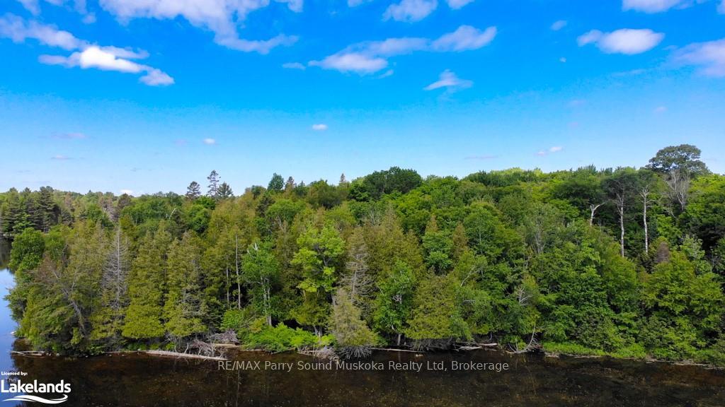 Photo 8 of LOT 7 Kribs Road, Magnetawan, Ahmic Harbour — HOMEH