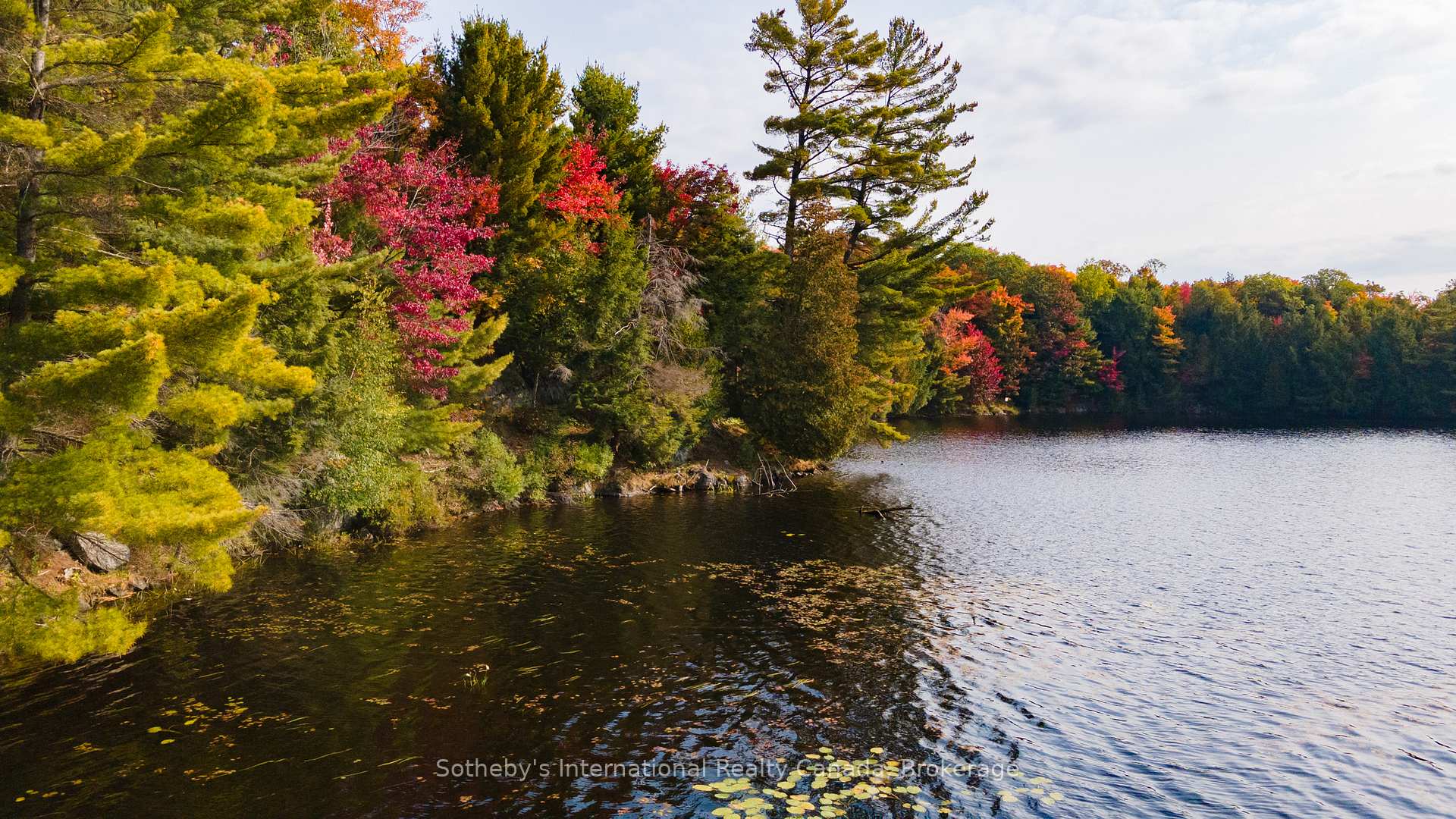 Photo 8 of 23 Pauls Bay Road, McDougall — HOMEH
