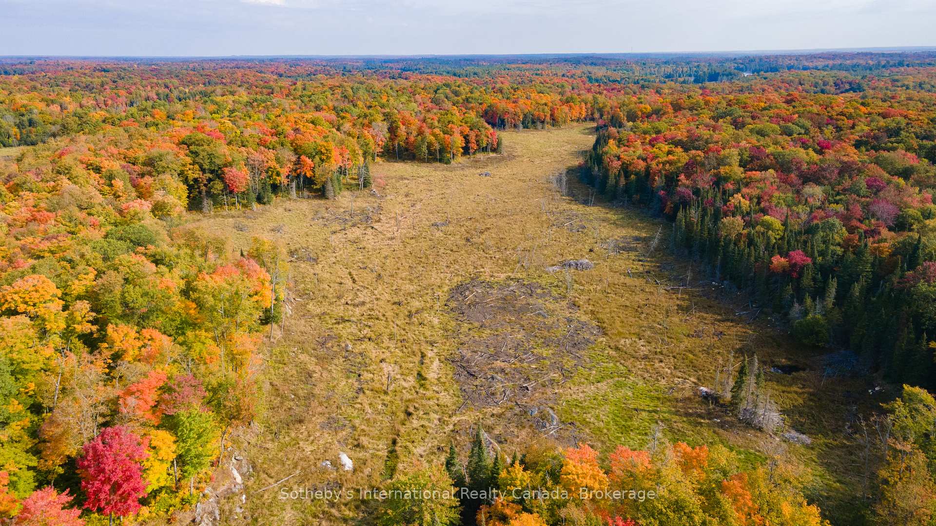 Photo 9 of 23 Pauls Bay Road, McDougall — HOMEH