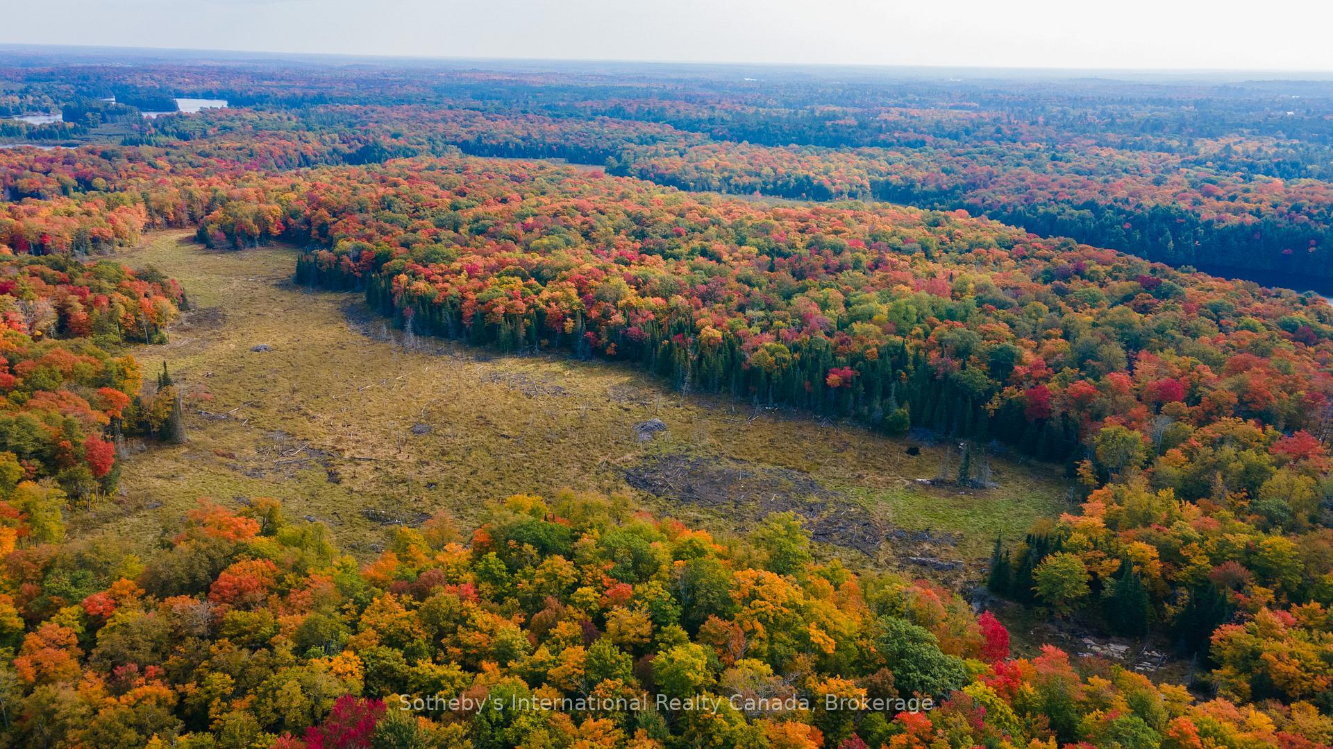 Photo 11 of 23 Pauls Bay Road, McDougall — HOMEH