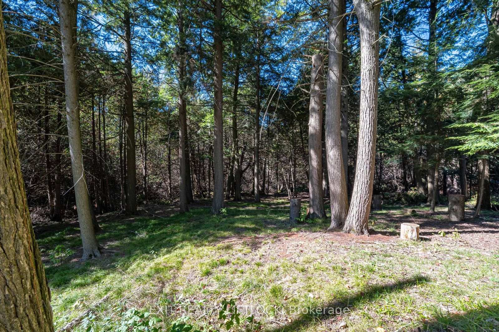 Photo 47 of 404 County Road 4, Douro-Dummer — HOMEH