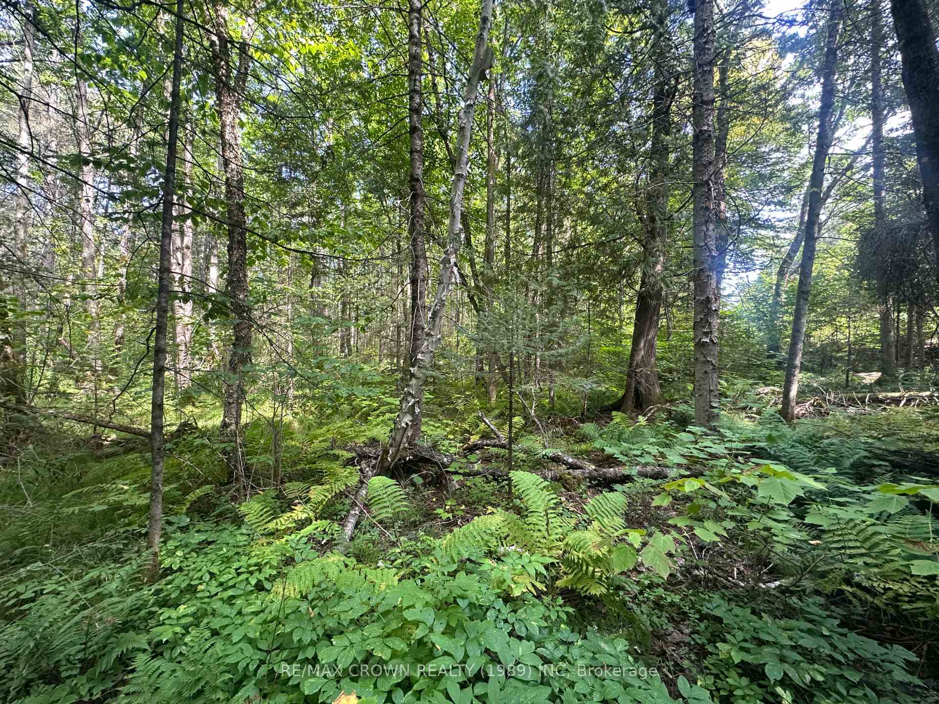Photo 6 of LT 17 CON 13 Richards Road, Mattawa — HOMEH