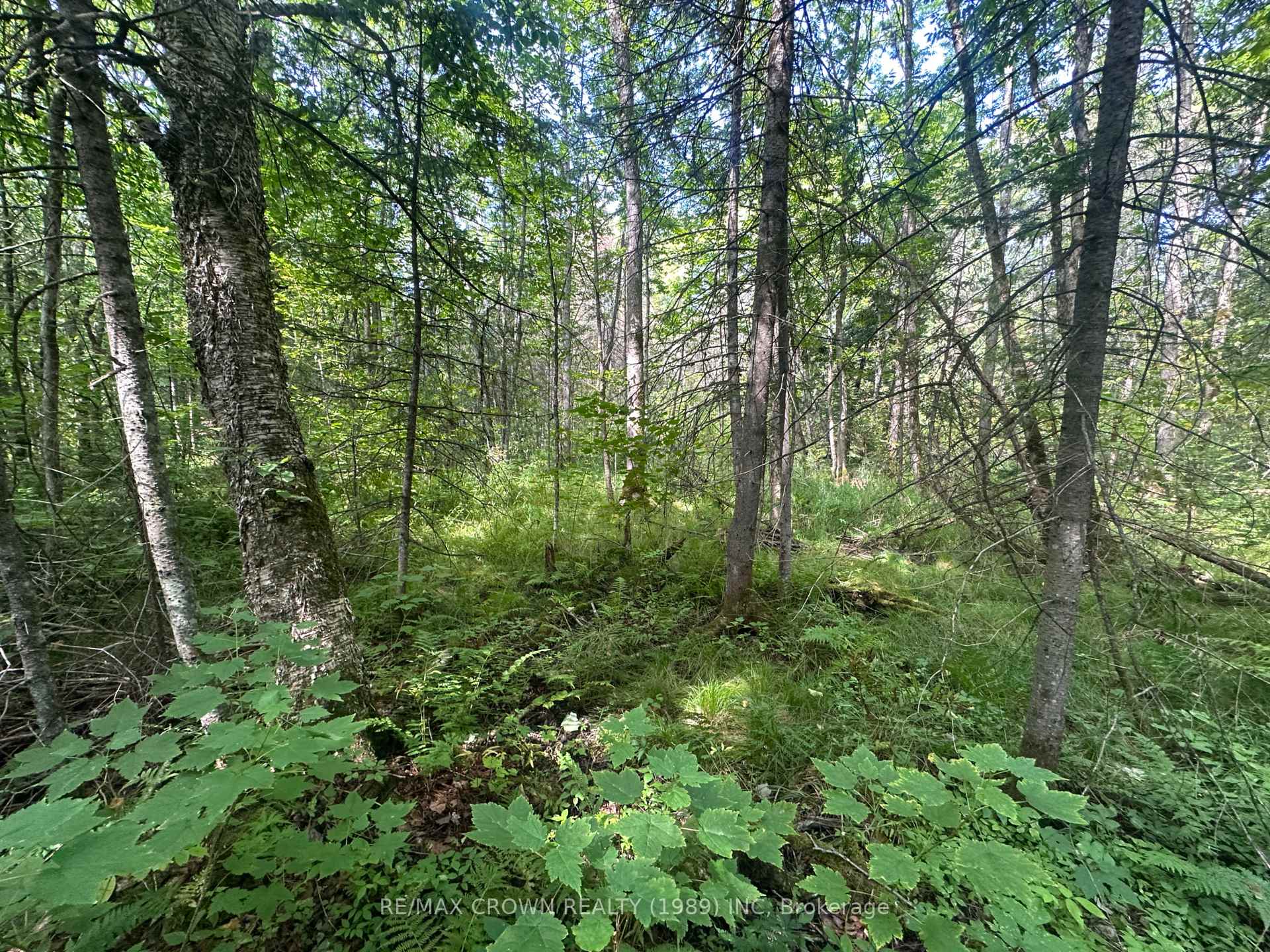 Photo 7 of LT 17 CON 13 Richards Road, Mattawa — HOMEH
