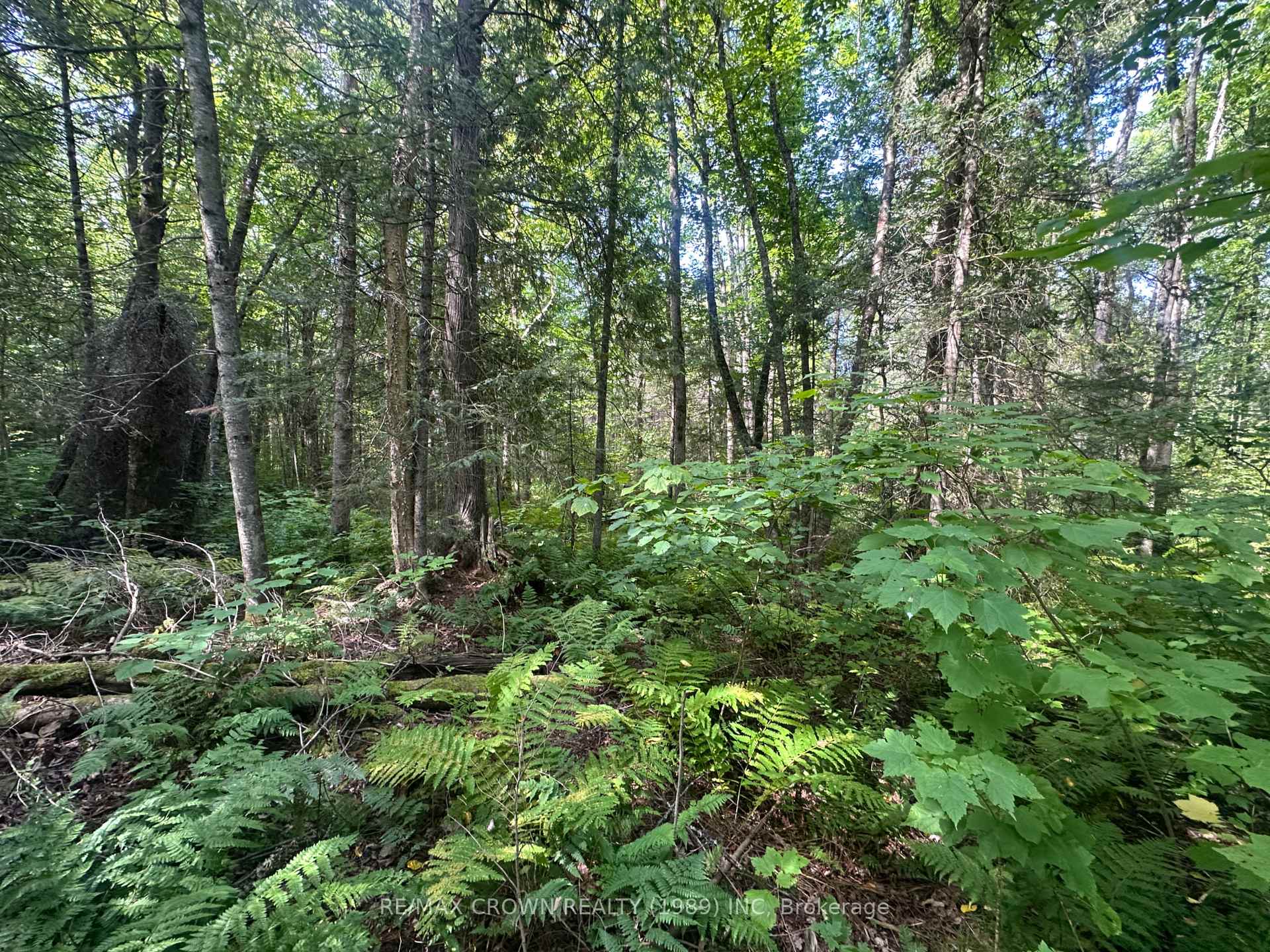 Photo 8 of LT 17 CON 13 Richards Road, Mattawa — HOMEH