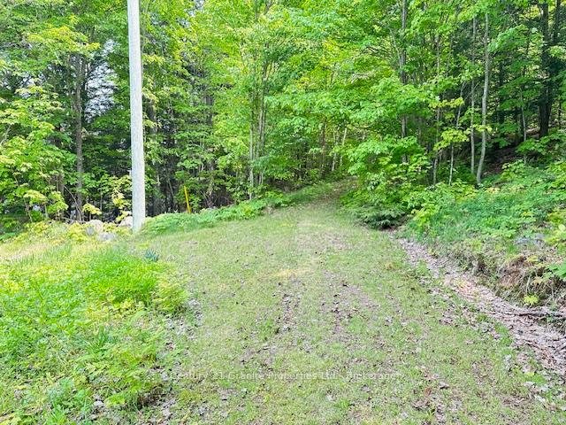 Photo 44 of 4 Turtle Lane, McKellar — HOMEH