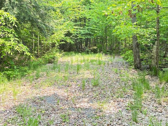Photo 46 of 4 Turtle Lane, McKellar — HOMEH