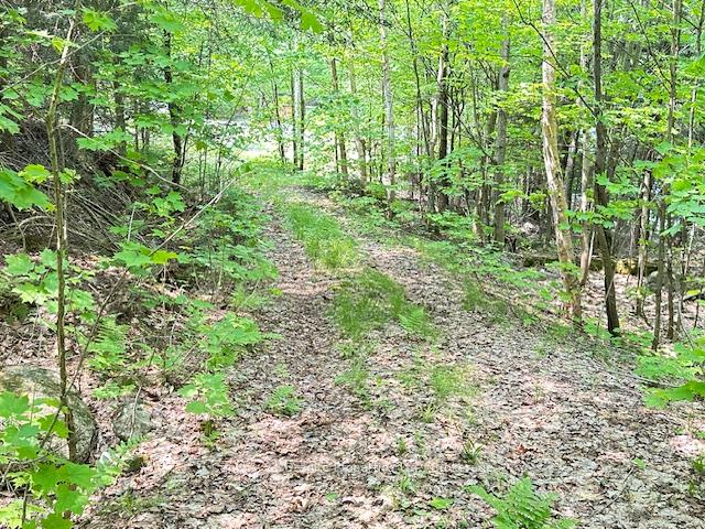 Photo 47 of 4 Turtle Lane, McKellar — HOMEH