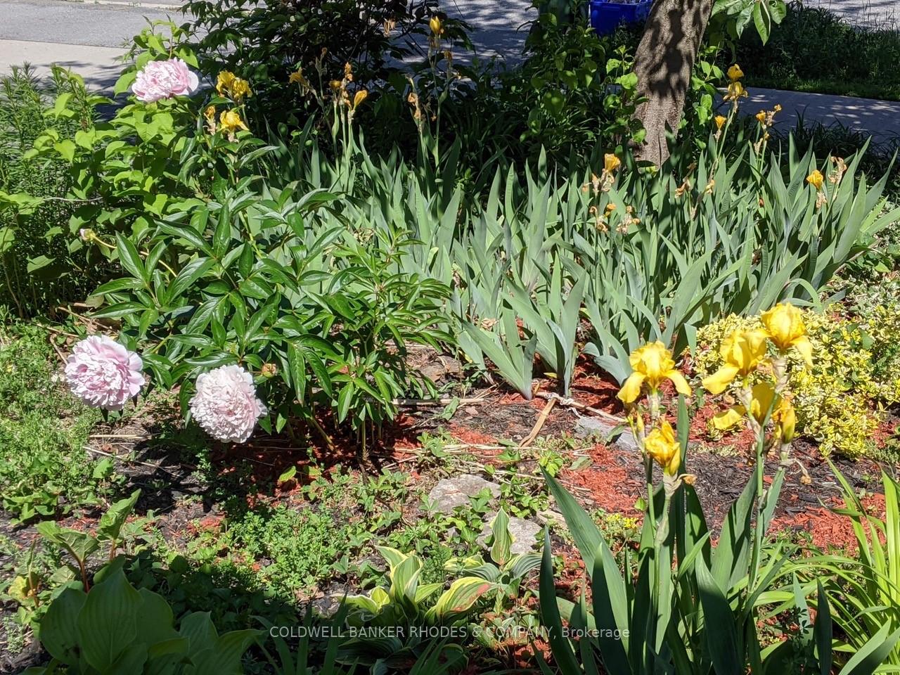 Photo 29 of 139 Scout Street, Ottawa, Central Park — HOMEH