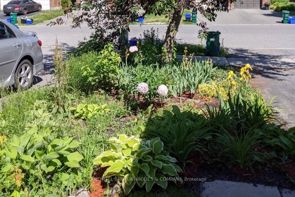 Photo 30 of 139 Scout Street, Ottawa, Central Park — HOMEH