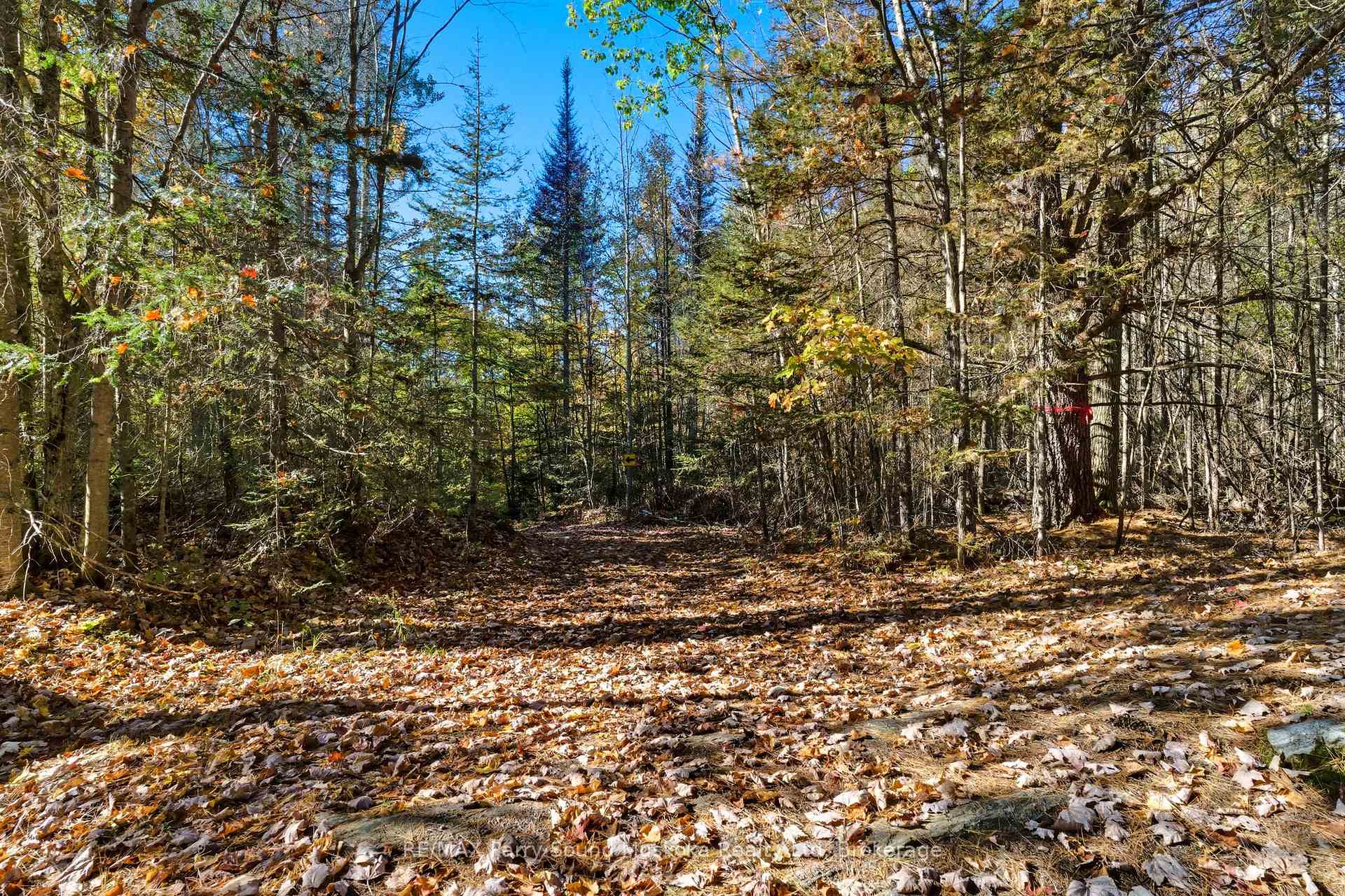 Photo 35 of 308 Nipissing Road N, Magnetawan — HOMEH
