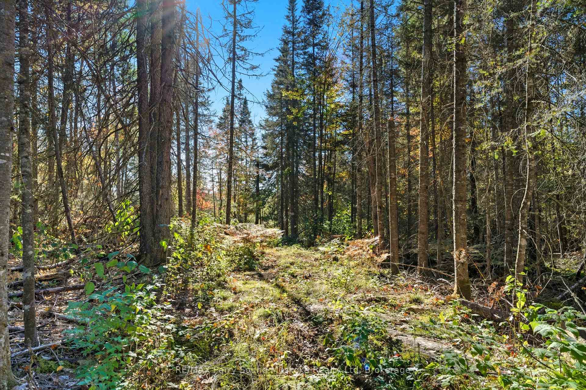 Photo 36 of 308 Nipissing Road N, Magnetawan — HOMEH