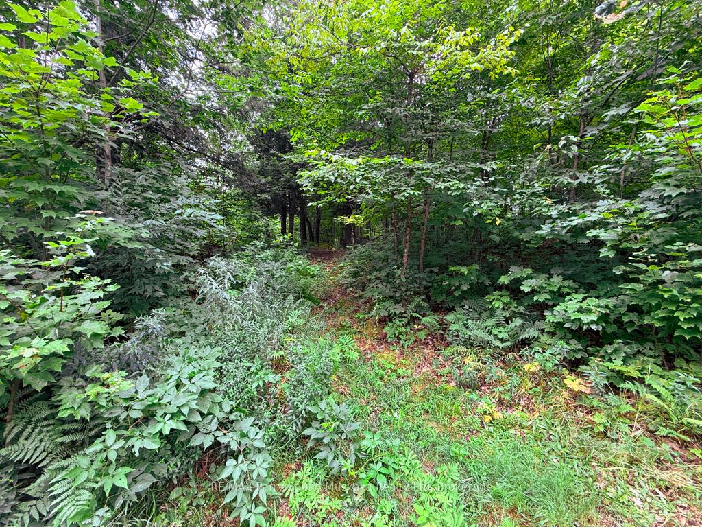 Photo 12 of 335 Centre Road, McKellar — HOMEH