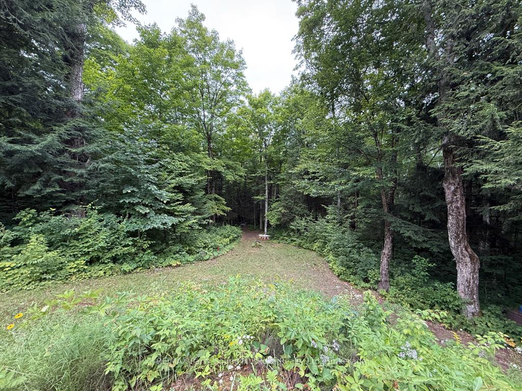 Photo 14 of 335 Centre Road, McKellar — HOMEH