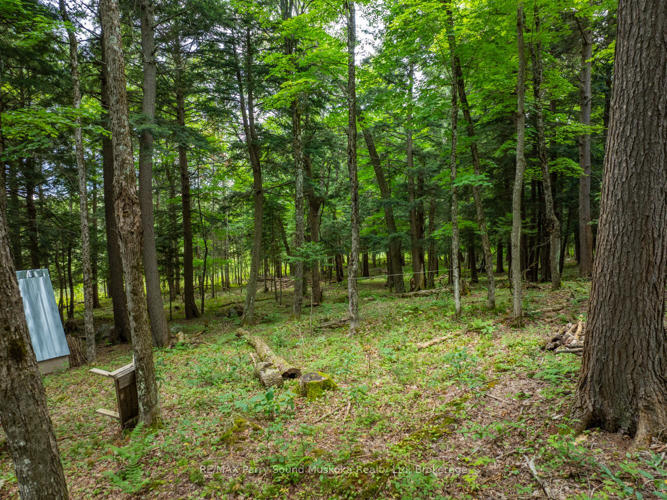 Photo 4 of 131 Moonwing Road, Magnetawan, Ahmic Harbour — HOMEH