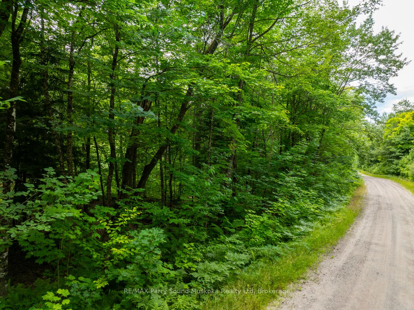 Photo 8 of 131 Moonwing Road, Magnetawan, Ahmic Harbour — HOMEH