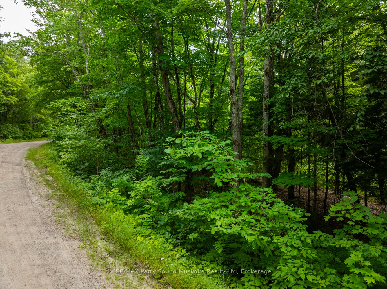 Photo 9 of 131 Moonwing Road, Magnetawan, Ahmic Harbour — HOMEH