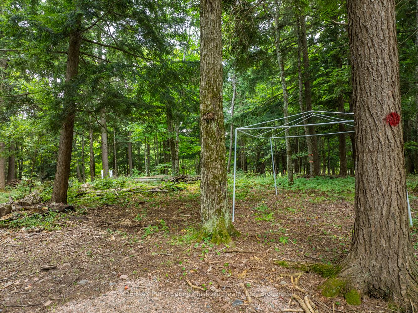 Photo 23 of 131 Moonwing Road, Magnetawan, Ahmic Harbour — HOMEH