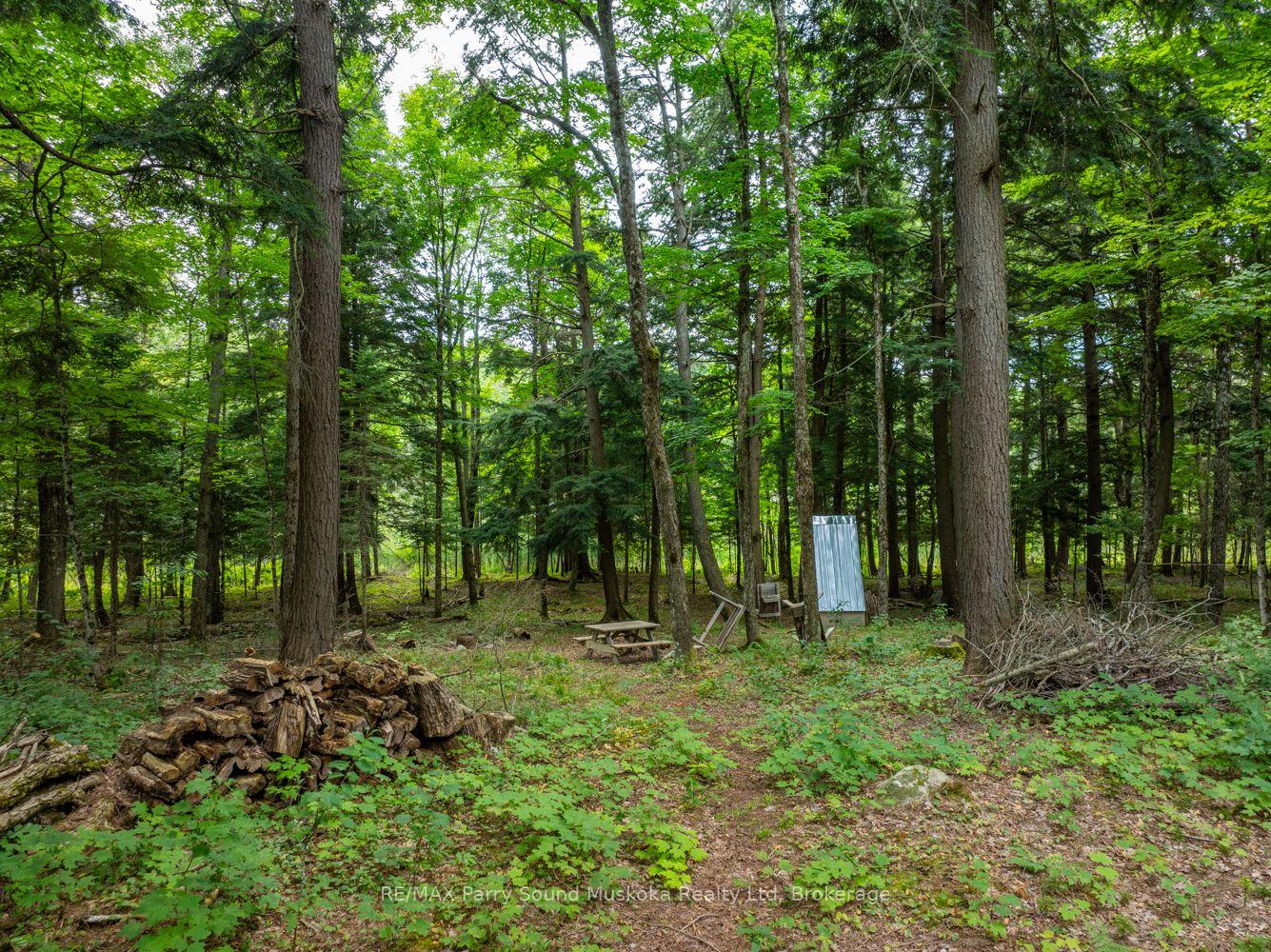 Photo 24 of 131 Moonwing Road, Magnetawan, Ahmic Harbour — HOMEH