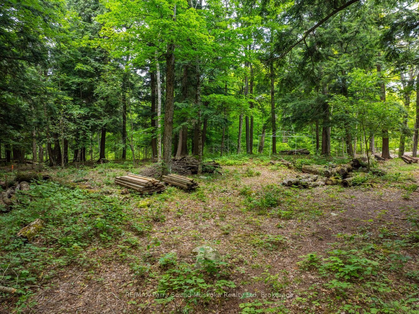 Photo 25 of 131 Moonwing Road, Magnetawan, Ahmic Harbour — HOMEH