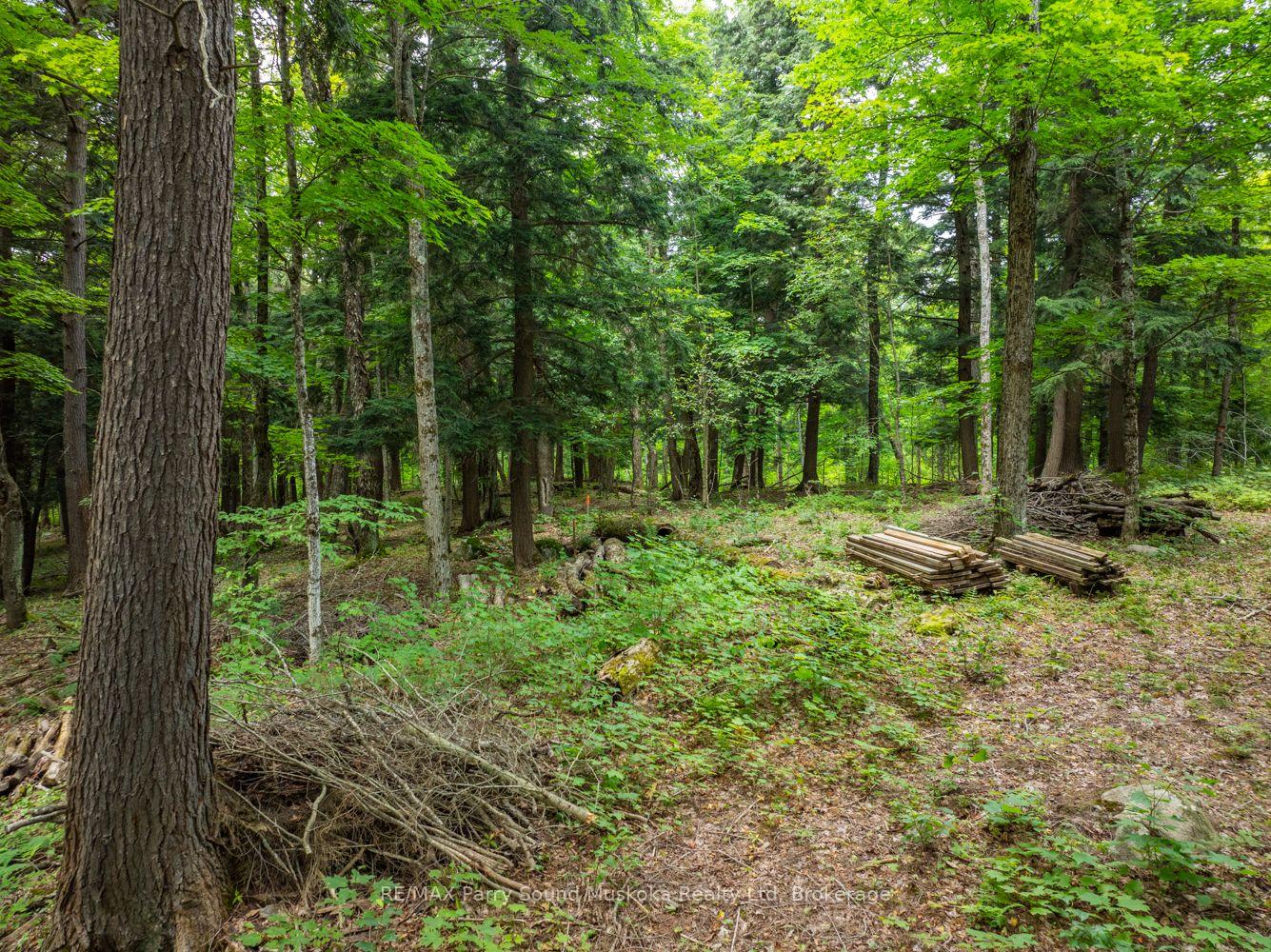 Photo 26 of 131 Moonwing Road, Magnetawan, Ahmic Harbour — HOMEH