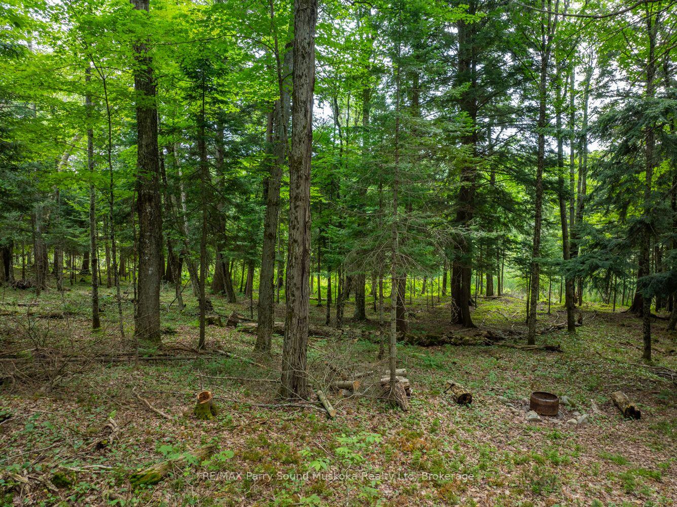 Photo 27 of 131 Moonwing Road, Magnetawan, Ahmic Harbour — HOMEH