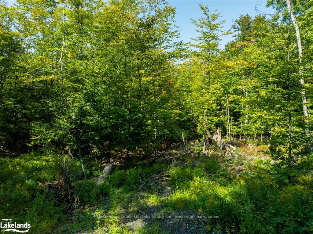 Photo 17 of 18 Burnside Bridge Road, McDougall — HOMEH
