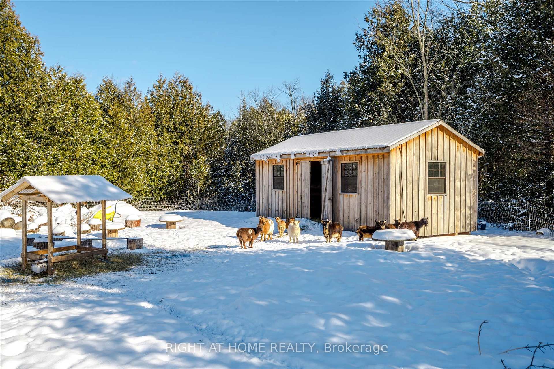 Photo 35 of 1430 Webster Road, Douro-Dummer — HOMEH