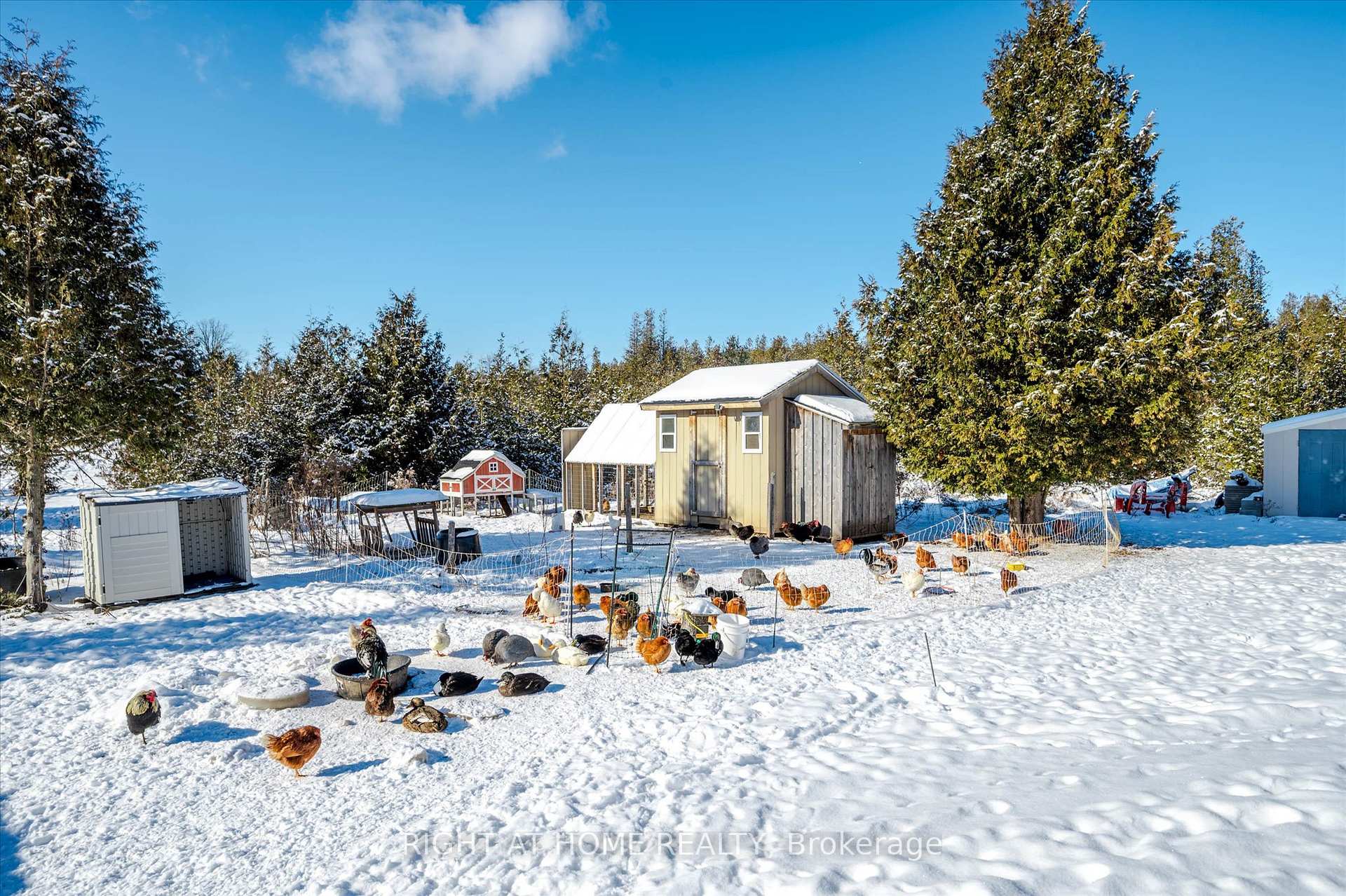 Photo 37 of 1430 Webster Road, Douro-Dummer — HOMEH